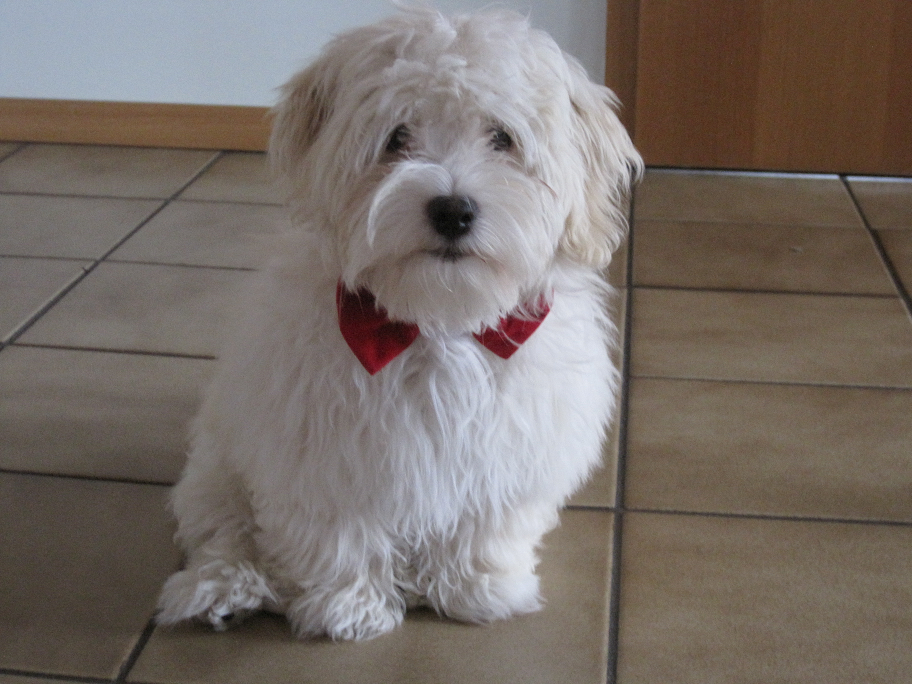 Duffy